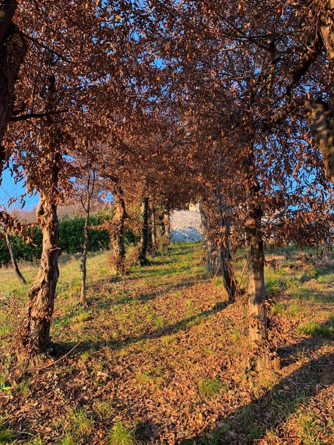 לינה וארוחת בוקר Villa dʼAlmè Le Lanterne מראה חיצוני תמונה